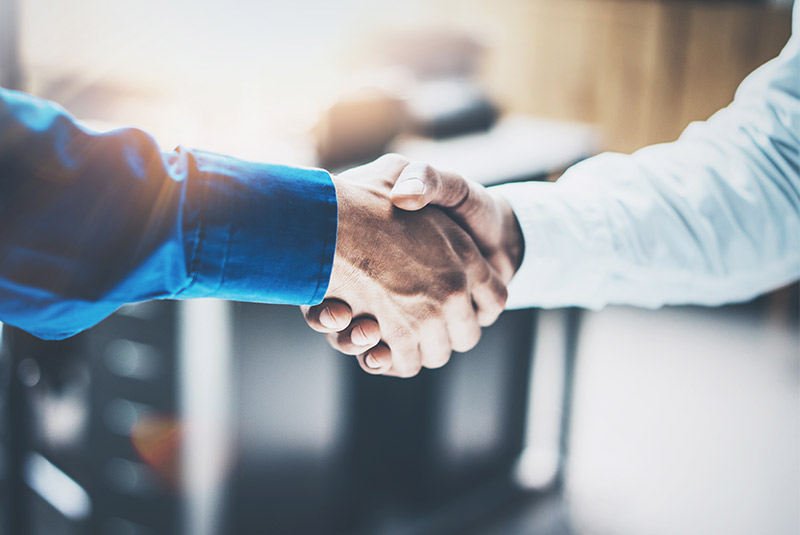 Business handshake dr. and organization
