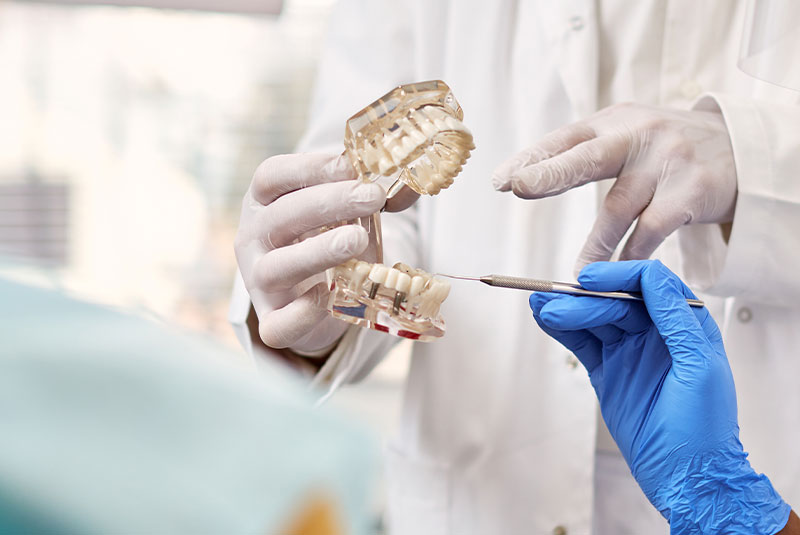 dentist showing dental implants